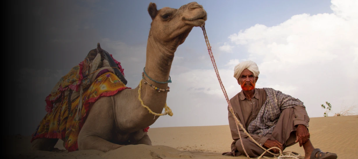 Desert Safari Tour