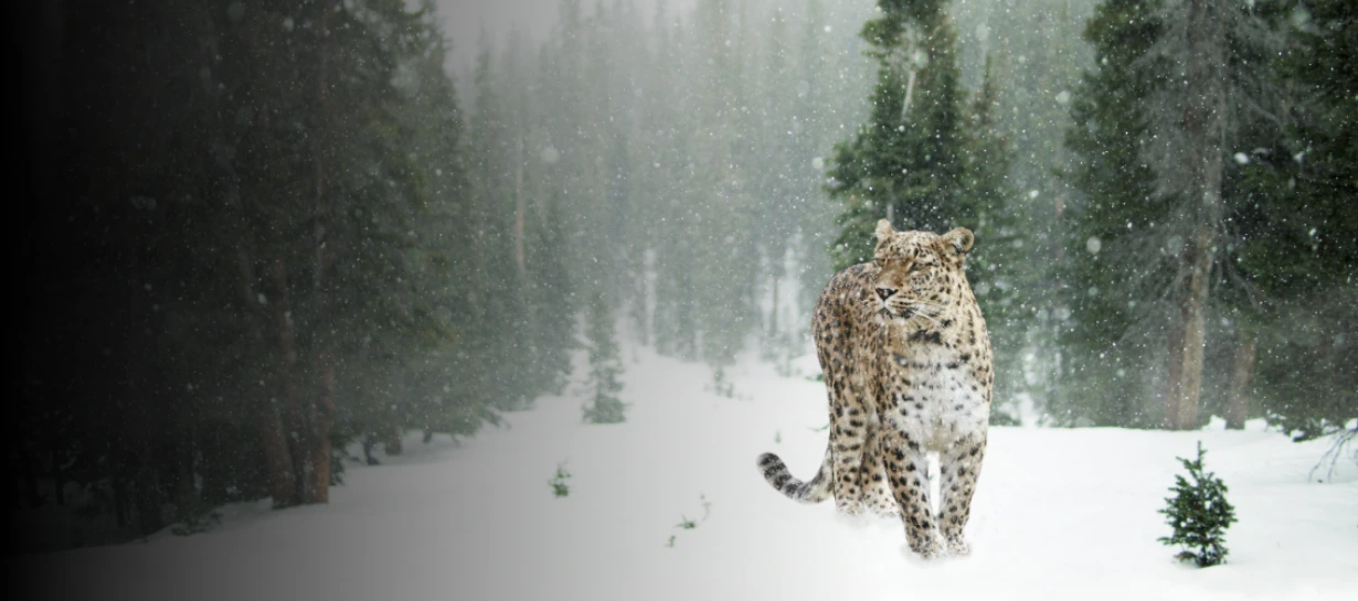 Luxury Himalaya Tour