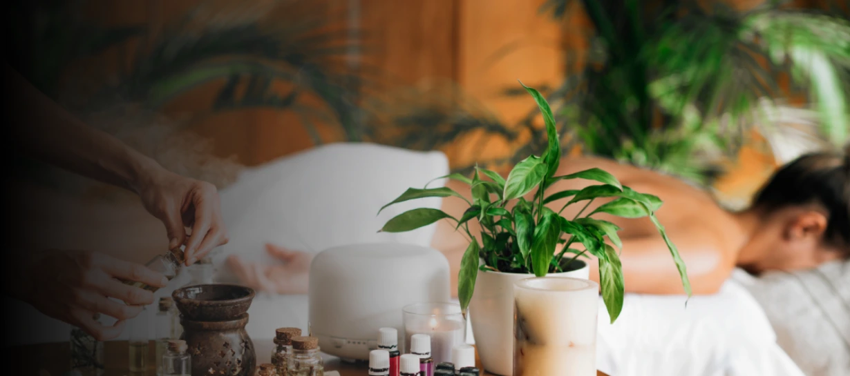 Wellness Ayurveda Tour