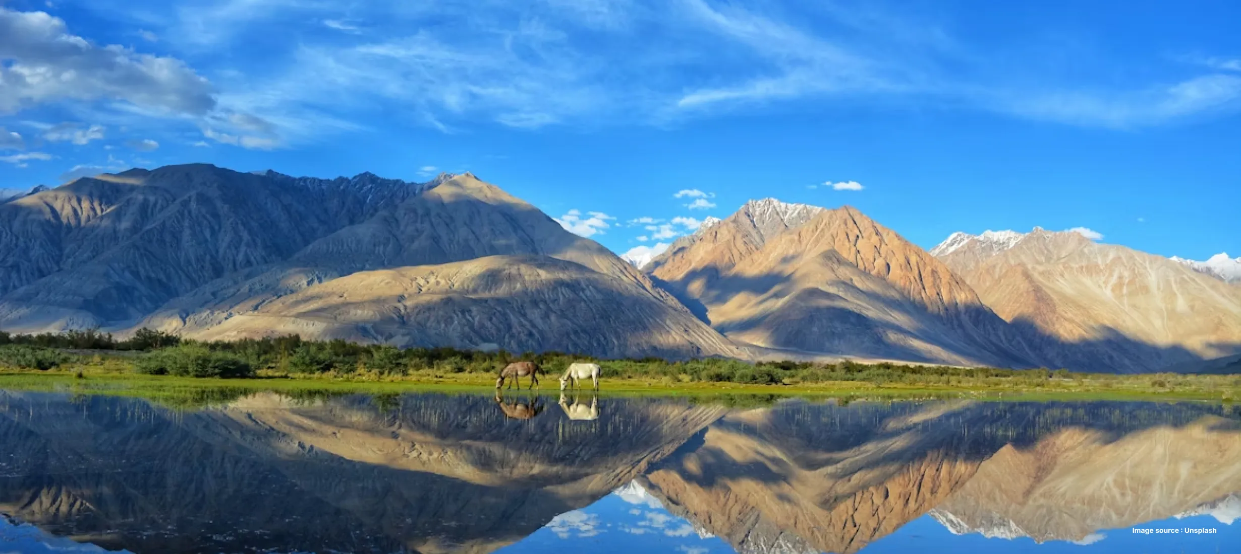 a sunny day click of leh's striking mountains as two mountain goats graze the valley's grass