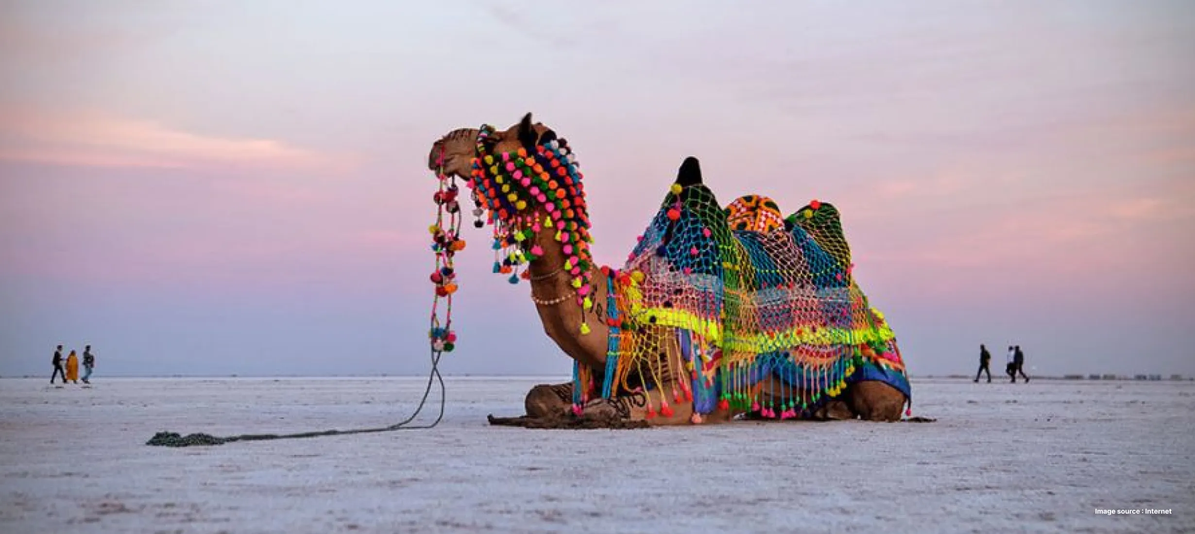 a close up of a decorated camel sitting on the white desert ground at sunset as tourists walk by in a distance