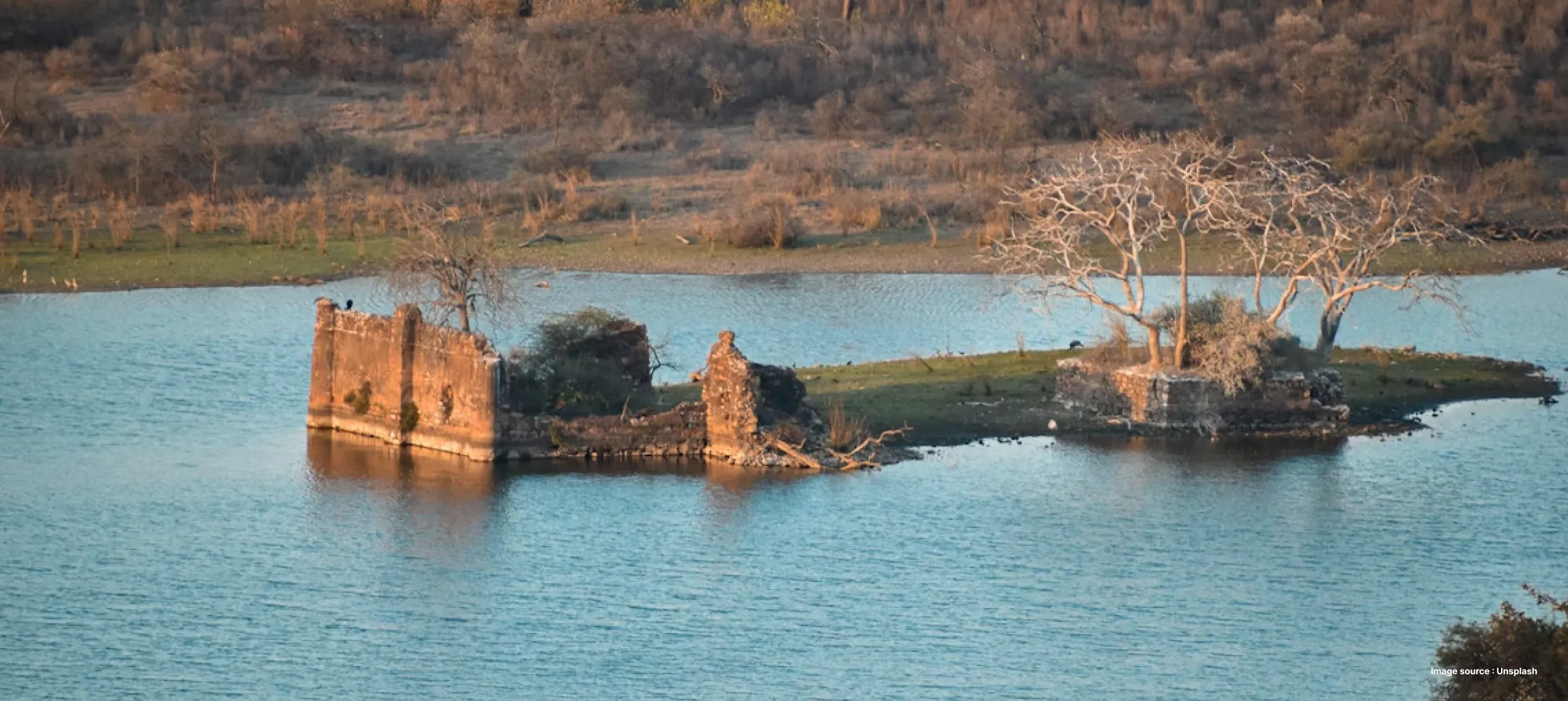 a historic palace ruin floating in the middle of a lake with a tall leafless tree