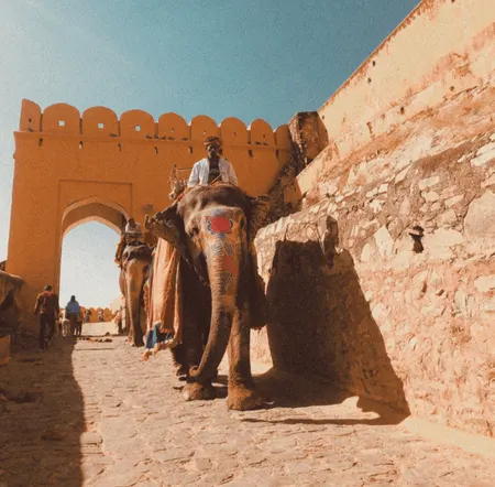 golden triangle india tour - Amber Fort