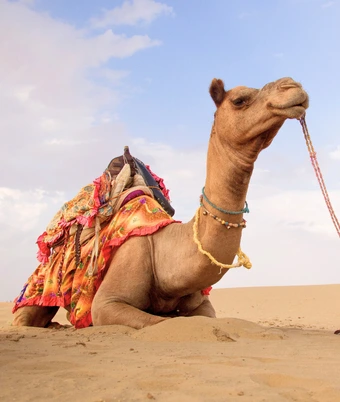 Cultural Rajasthan Tour - 2