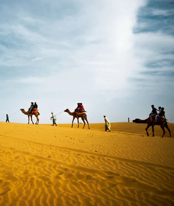 Desert Safari india - 6