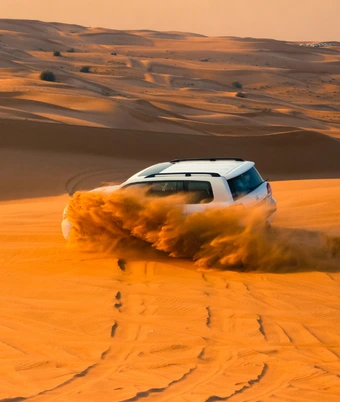 Desert Safari india - 4