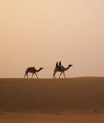 Desert Safari india - 5
