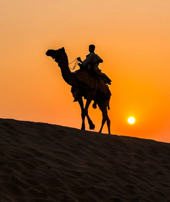 Desert Safari india - 2