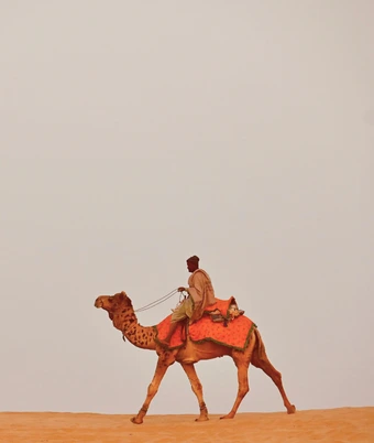 Desert Safari Tour - 4