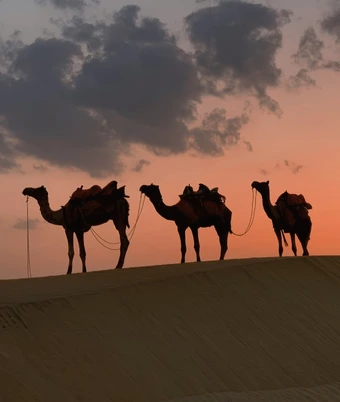 Desert Safari Tour - 2