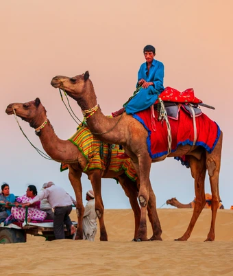 Desert Safari Tour - 1
