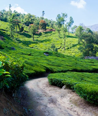 Kerala Backwaters Tour - 1