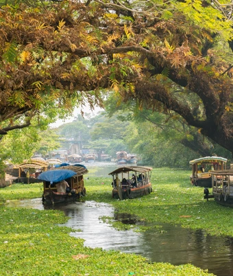 Kerala Backwaters Tour - 4