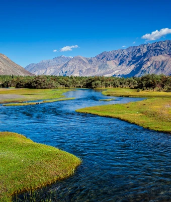 Paradise Kashmir Tour - 5
