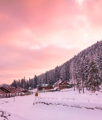 Paradise Kashmir Tour - 4