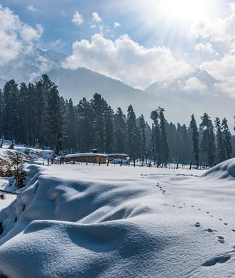 Paradise Kashmir Tour - 1