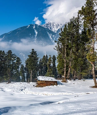 Paradise Kashmir Tour - 2