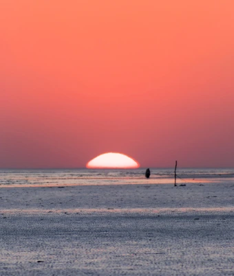 White Desert Festival Tour - 5