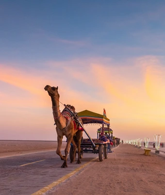 White Desert Festival Tour - 1