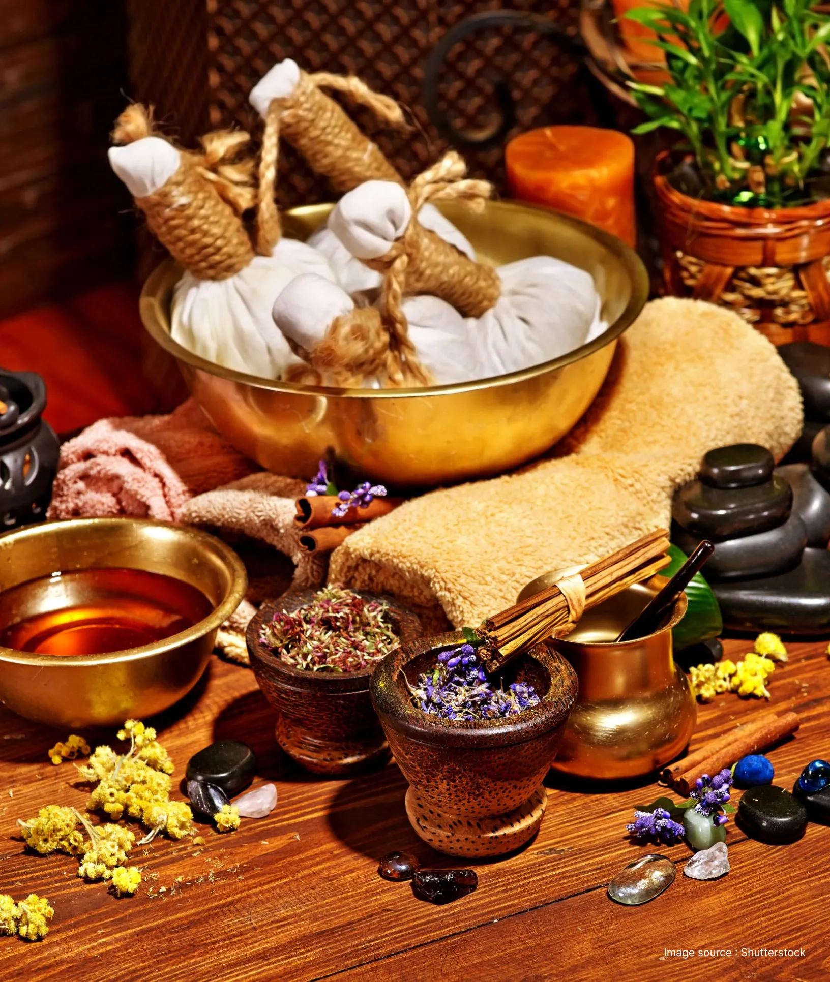 Ayurvedic-Medition