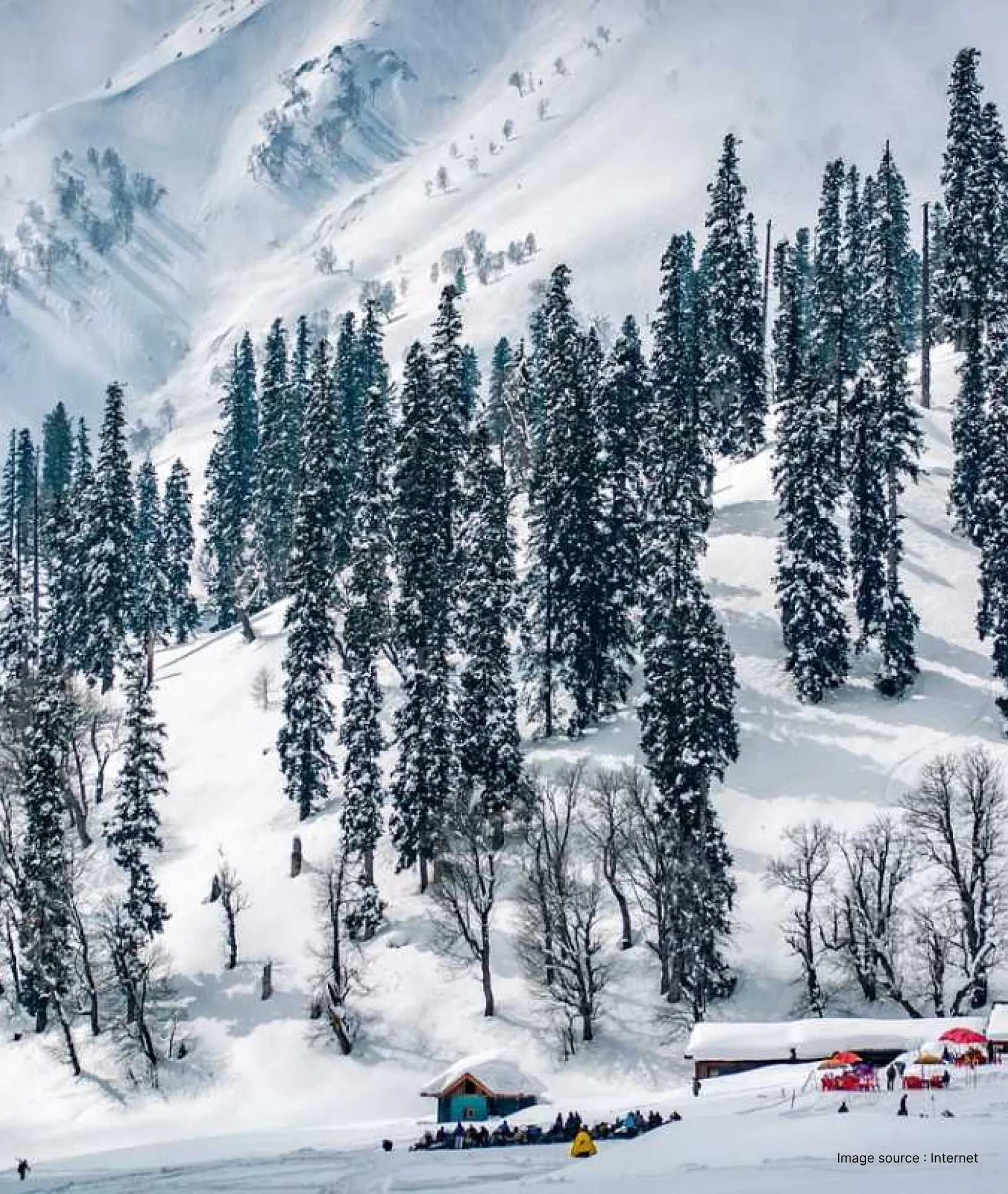 Luxury Gulmarg Tour