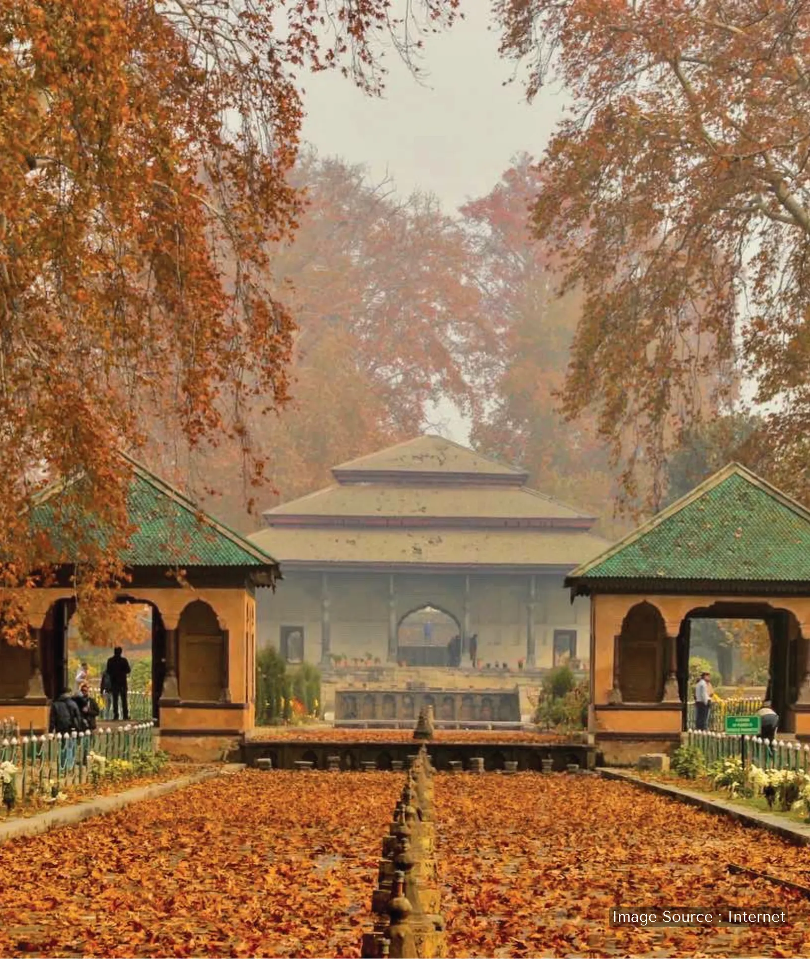 Captures seasonal interest with keywords like "autumn," "Chinar trees," and "Shalimar Bagh," which are popular for tourists looking for fall photography spots in Kashmir.