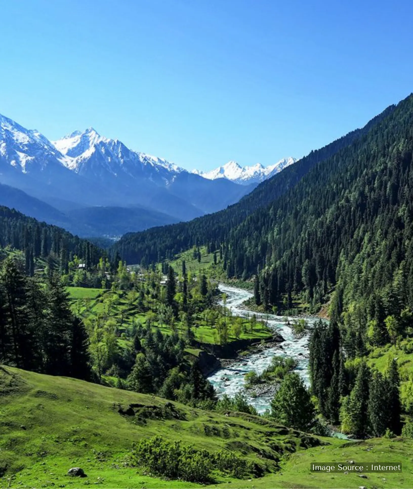 The fast-flowing Lidder River in Pahalgam with crystal clear water rushing over stones, surrounded by green trees and mountains.