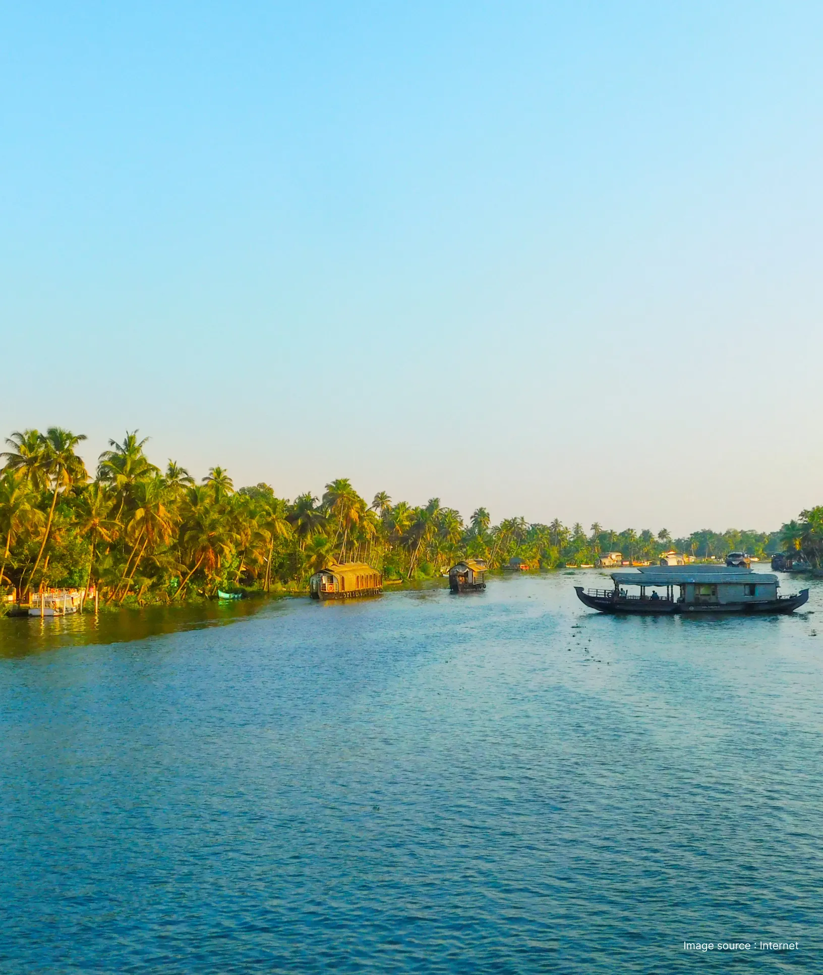 a serene view of the vembanad lake flanked by palm trees