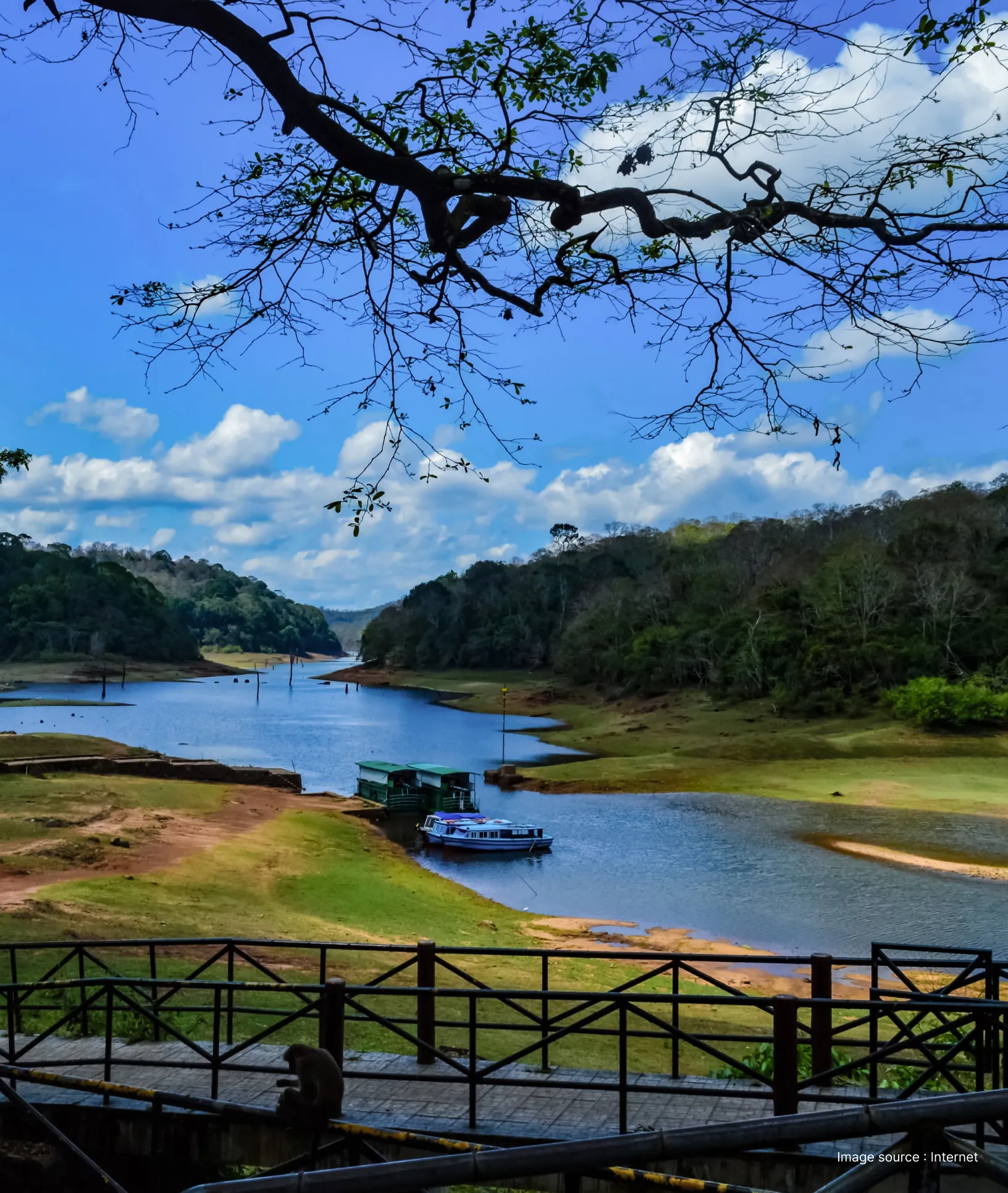 a wide view of the periyar national park showing the periyar lake and lush green mountains flanking it