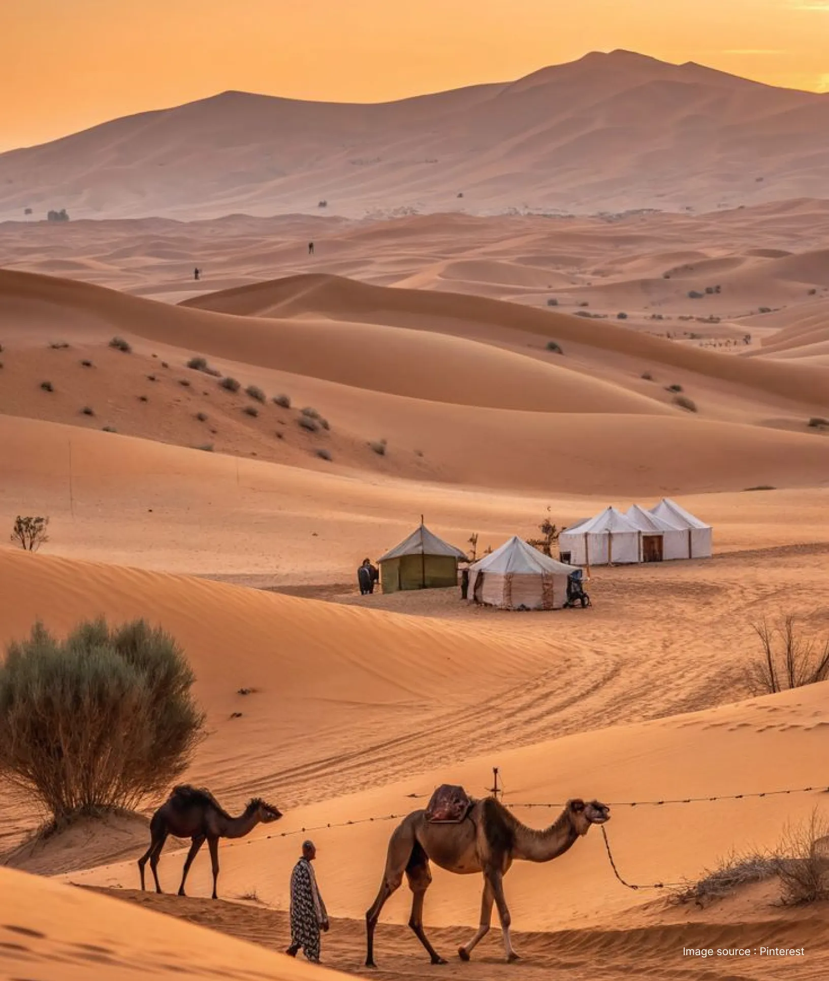 a beautiful shot of the dunes of the jaisalmer desert with two camels in view and a few camp stays