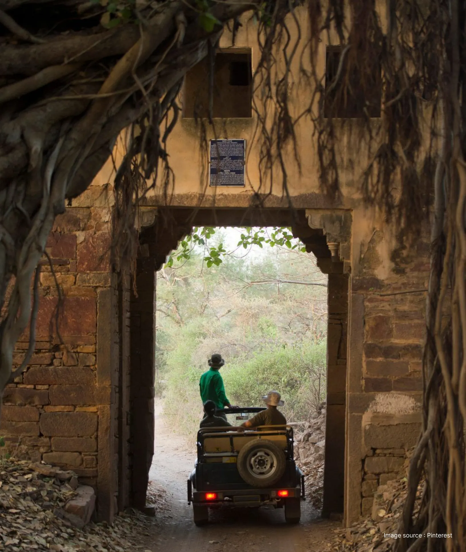a safari jeep with tourists and guide moving through an old gateway in ranthambore