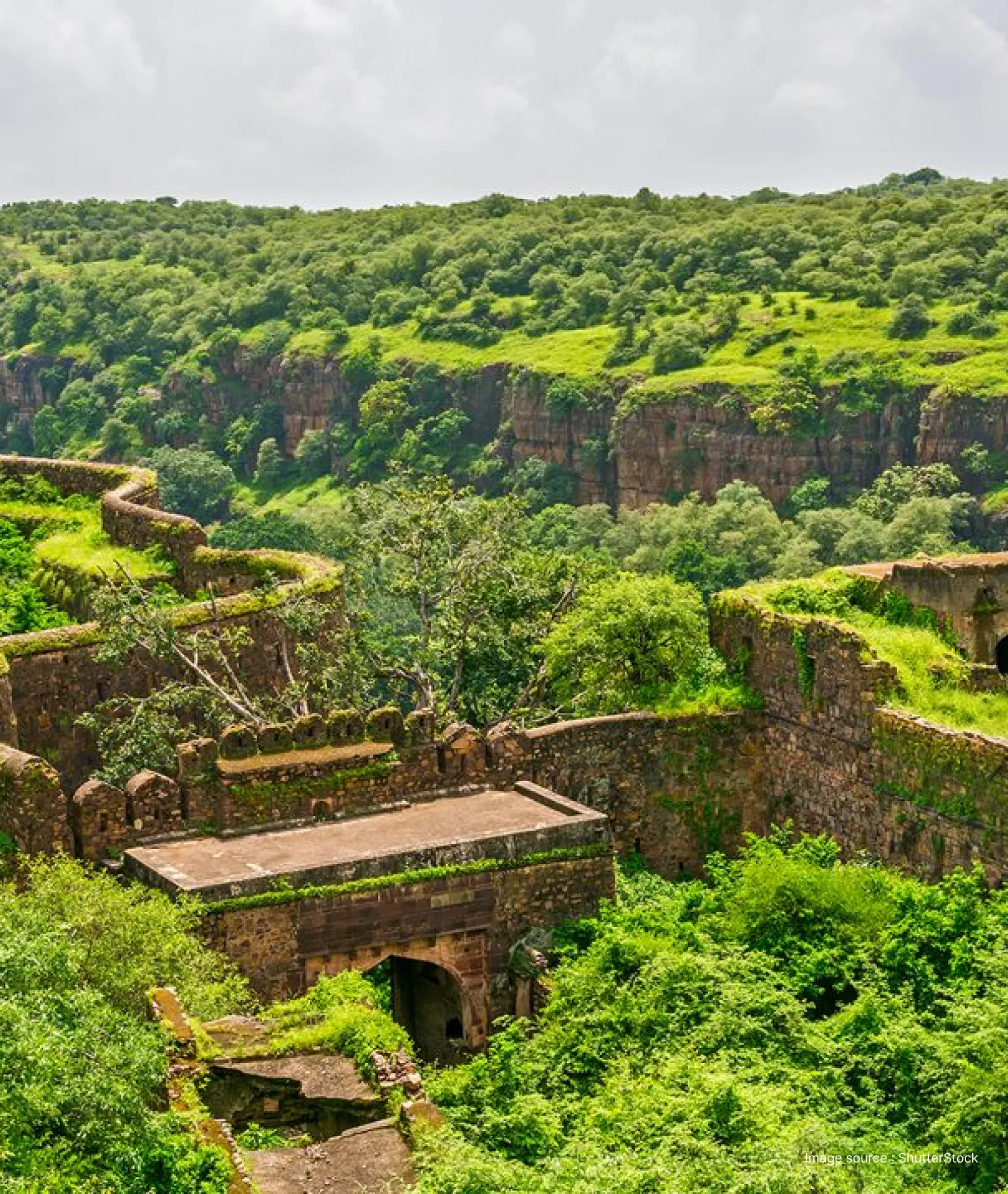 wide view of the rugged ranthambore fort with greenery all around