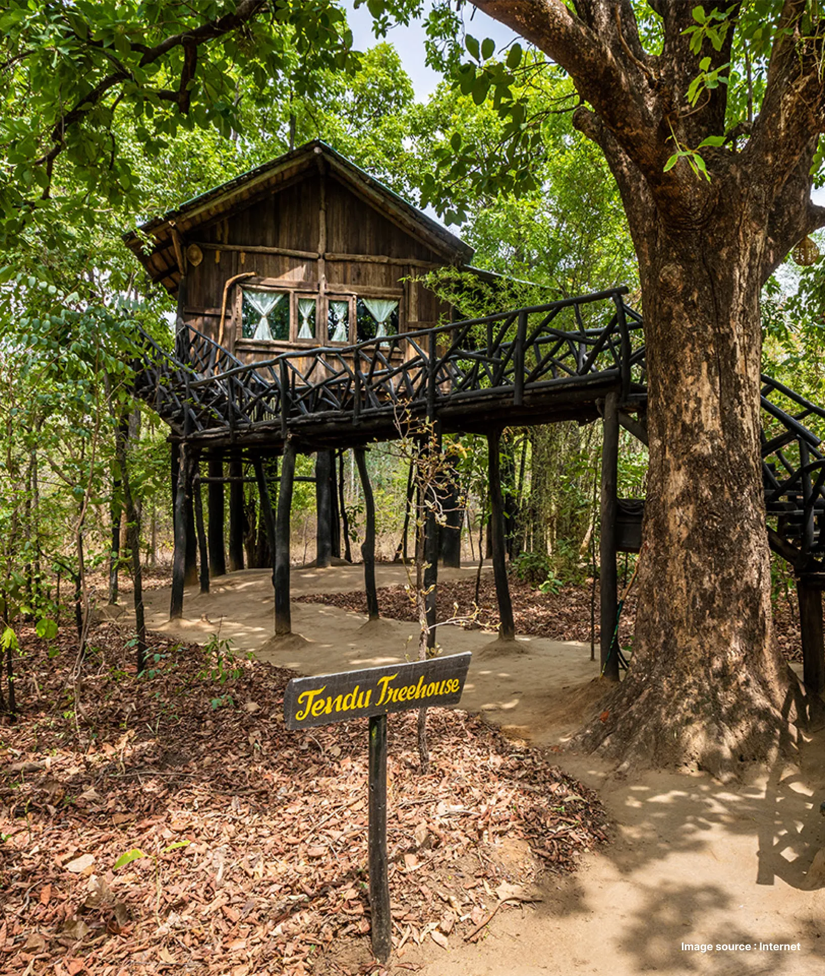 a treehouse accommodation in a jungle