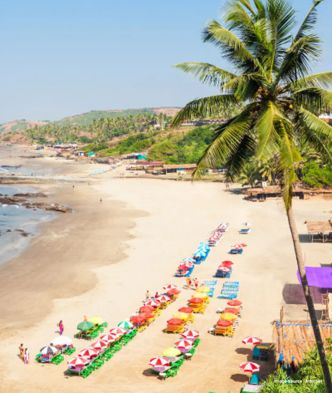 a long empty beach with a tall palm tree and colorful lounge chairs