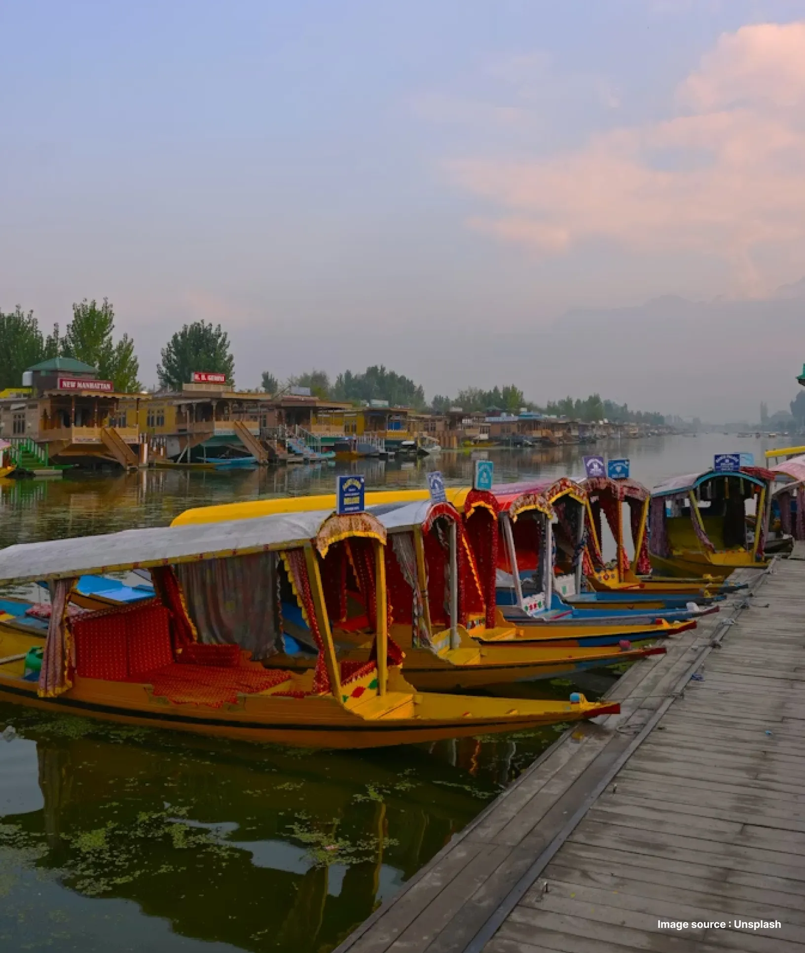 colorful shikara boats lined up by the shore during sunset