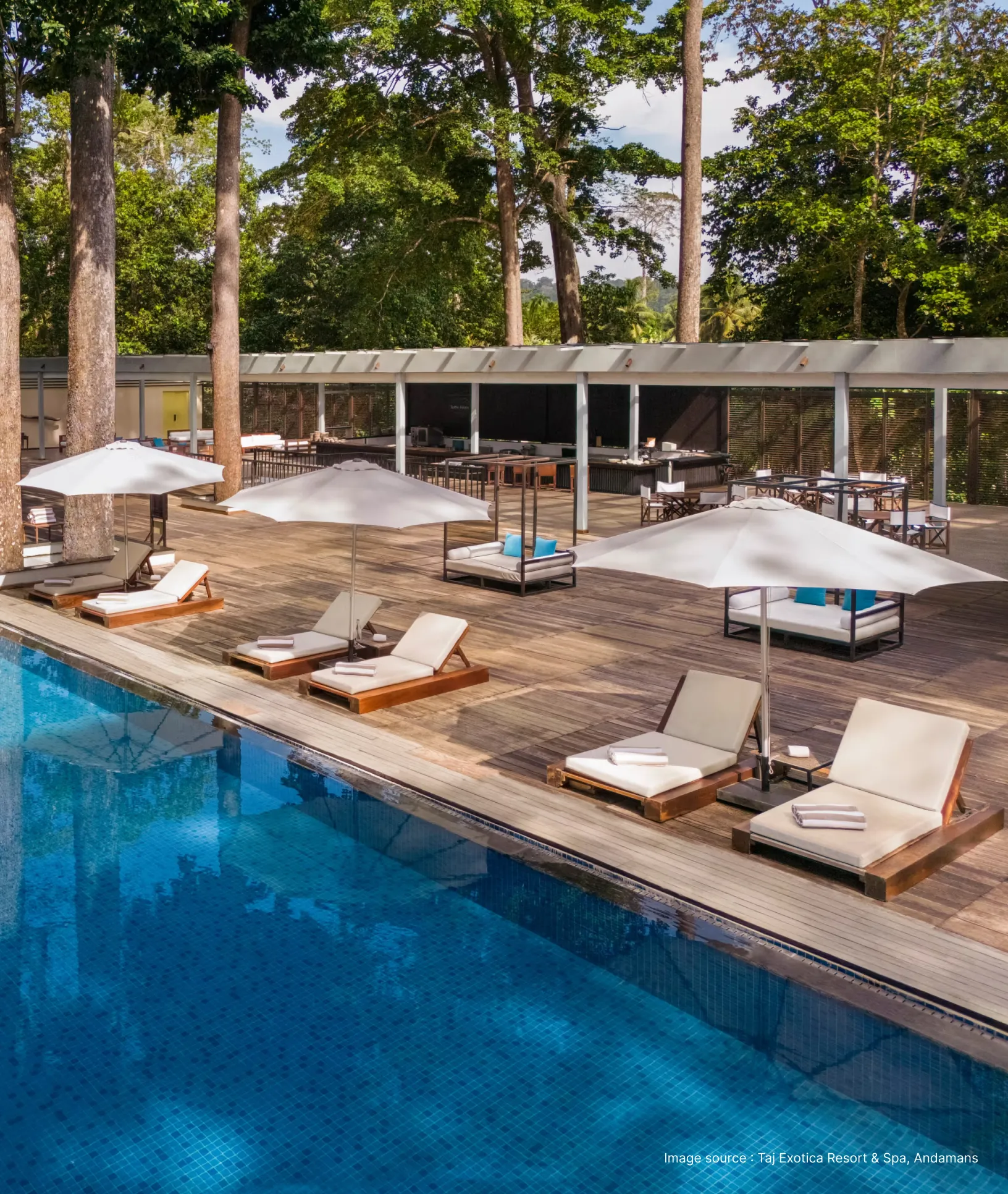 pool side with lounge chairs and tall trees in background for taj exotica resort