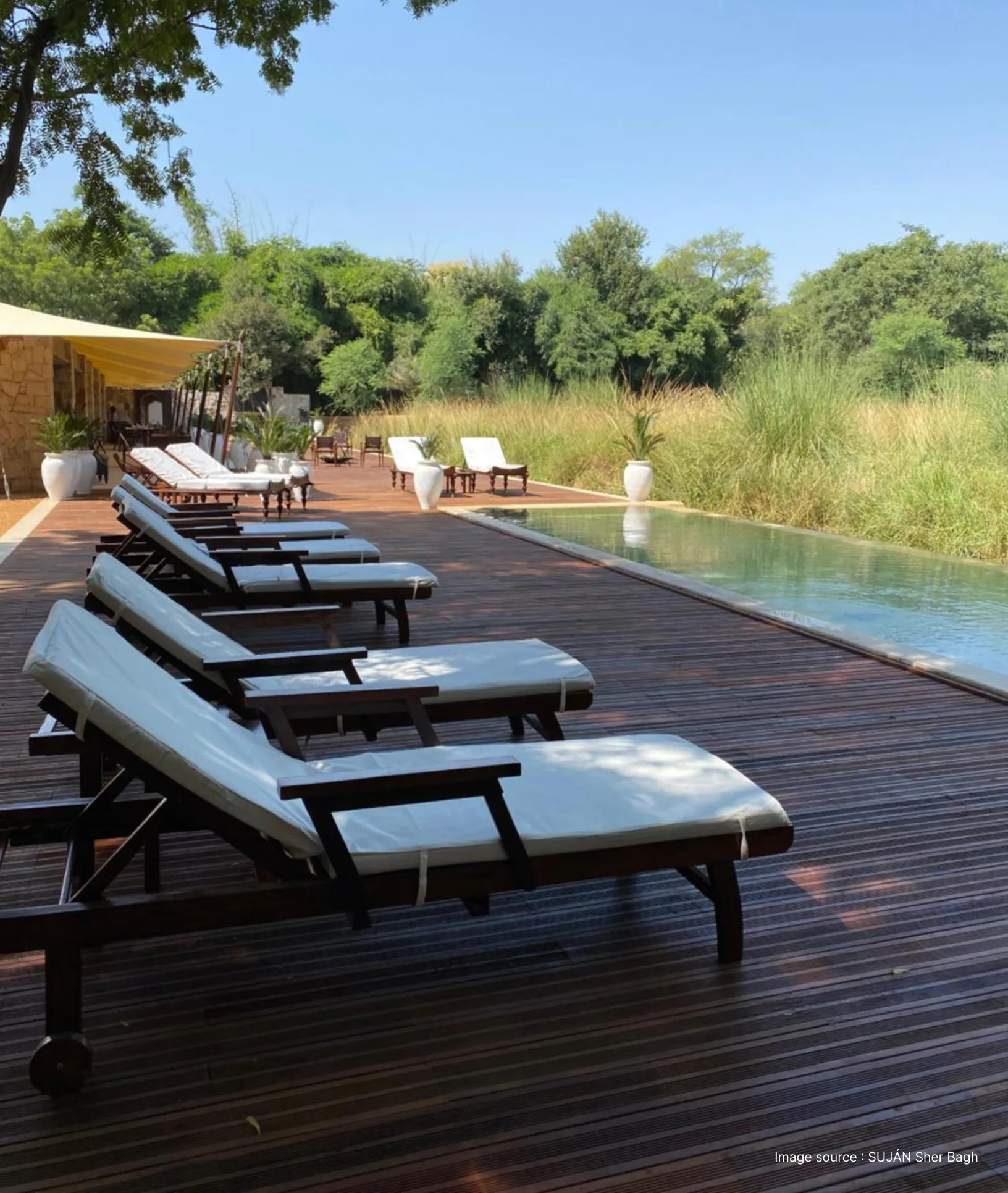 pool side view of the SUJAN sher bagh with lounge chairs in shade and green bushes in a distance