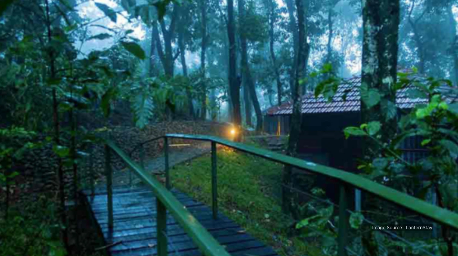 32010 A - LanternStay - jungle vacation