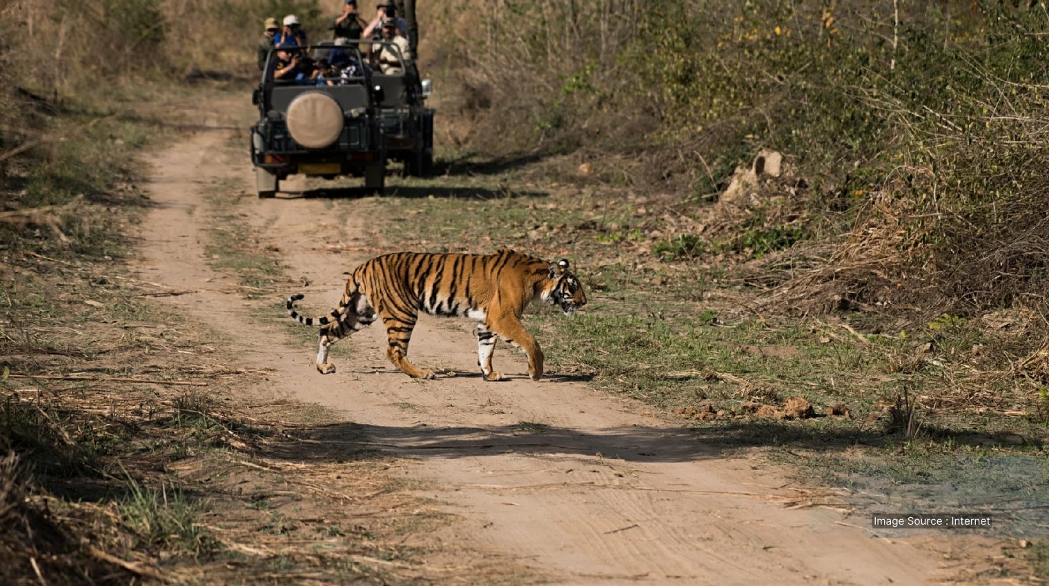 31009 A - Ranthambore National Park - tour india
