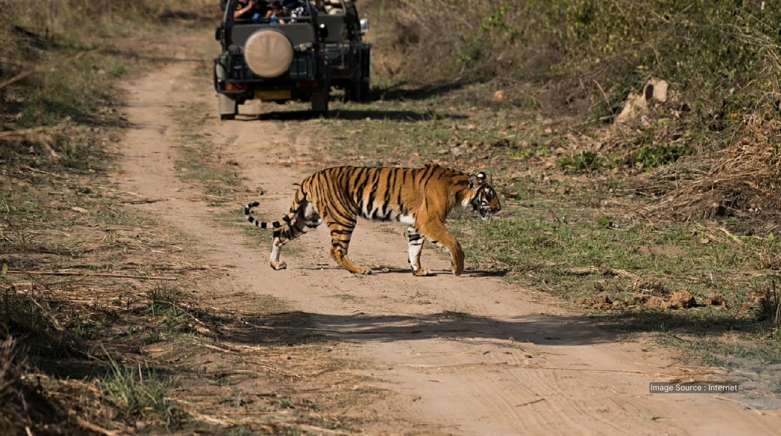 1197 A - Ranthambore wildlife tour in india