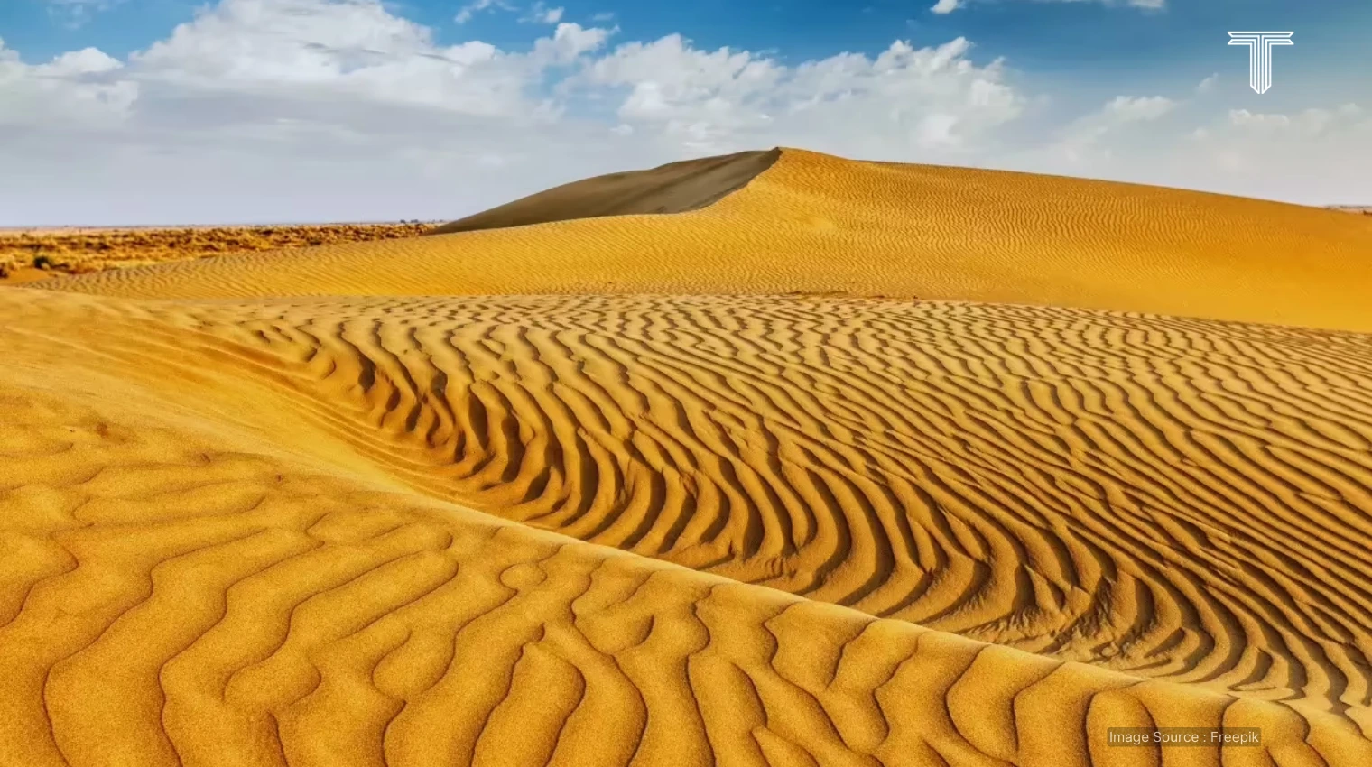 500803 A - desert safari tour in Jaisalmer