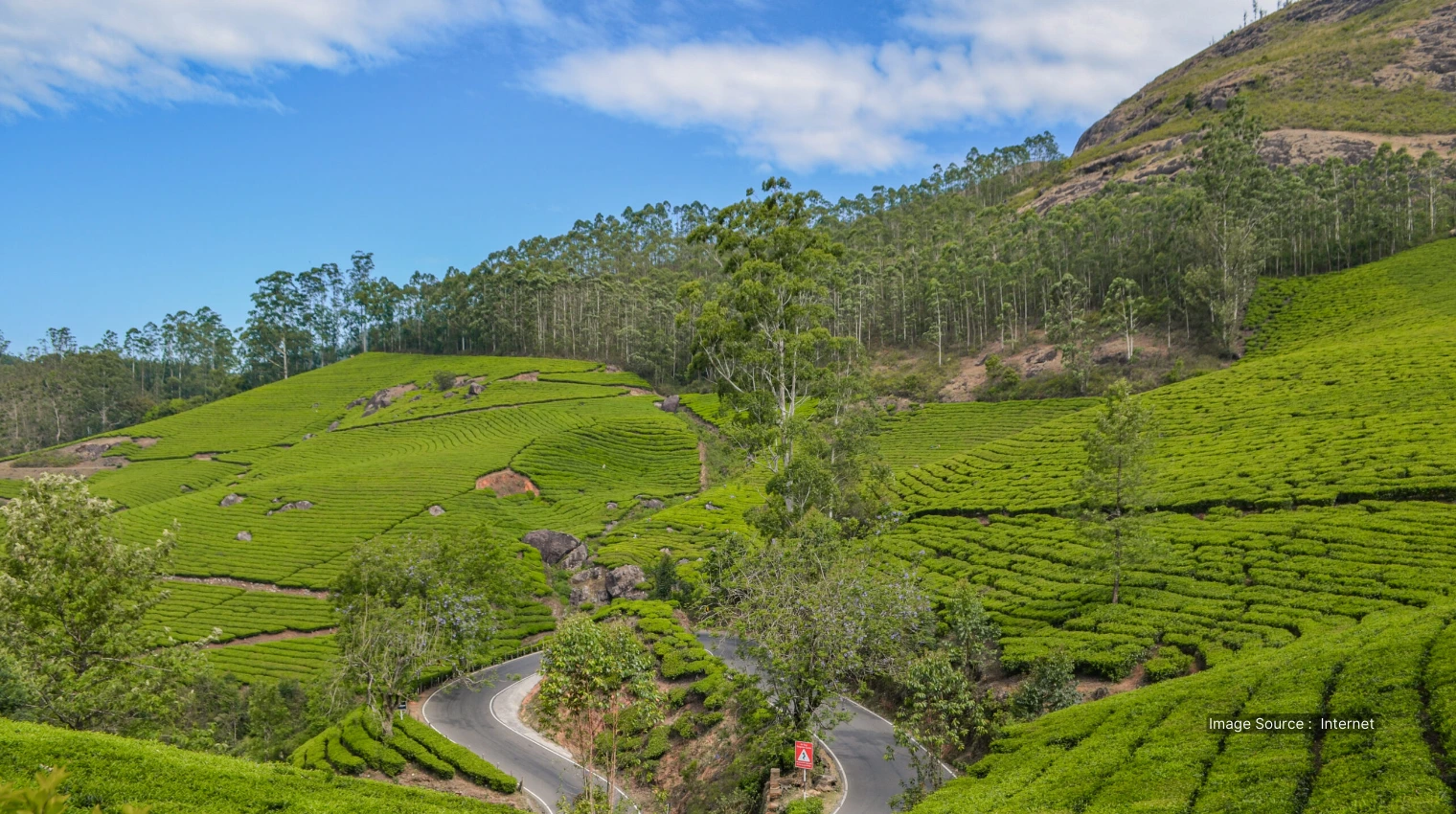 500684 A - kerala backwaters luxury resorts at munnar for travelers