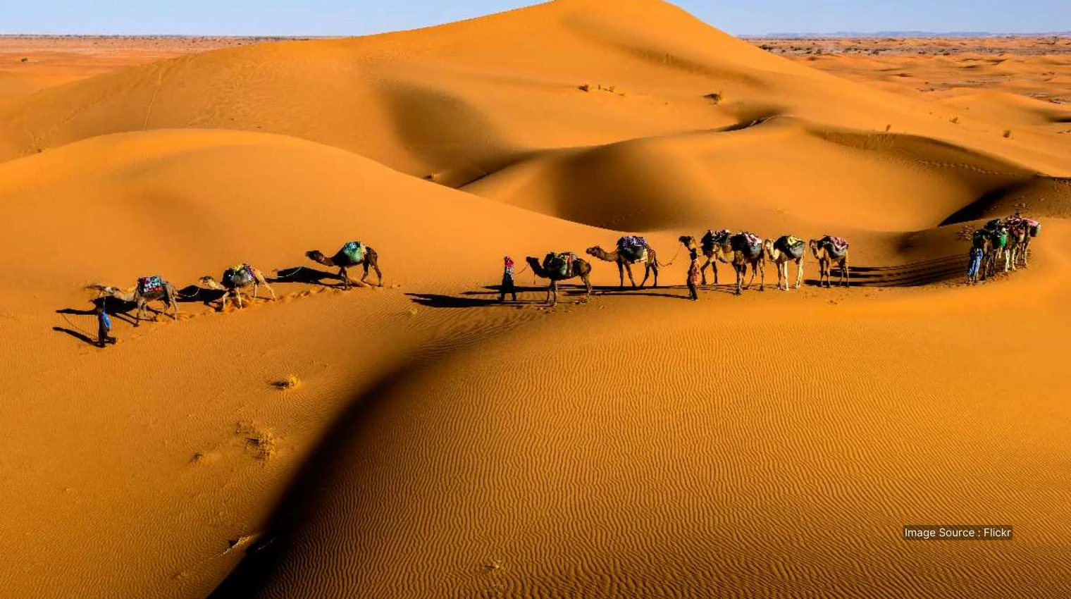 500313 A - luxury rajasthan desert safari tour