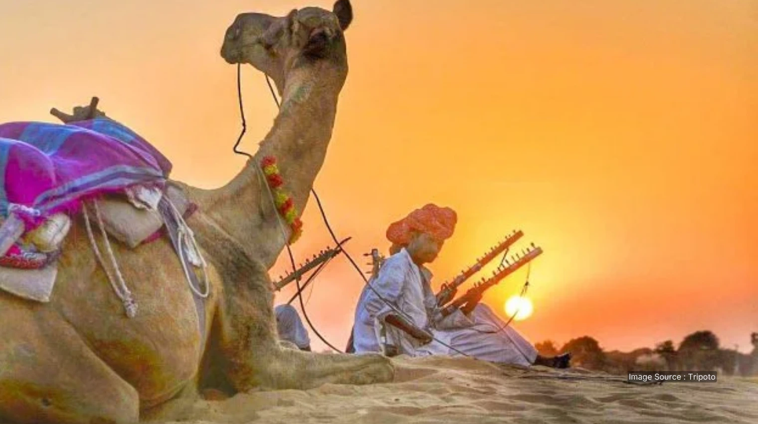 500792 A - royal rajasthan tour camel safaris in desert