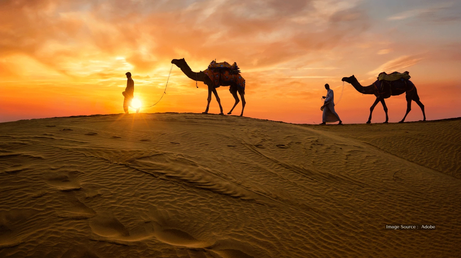 30015 A - Thar Desert of Rajasthan - stay in desert