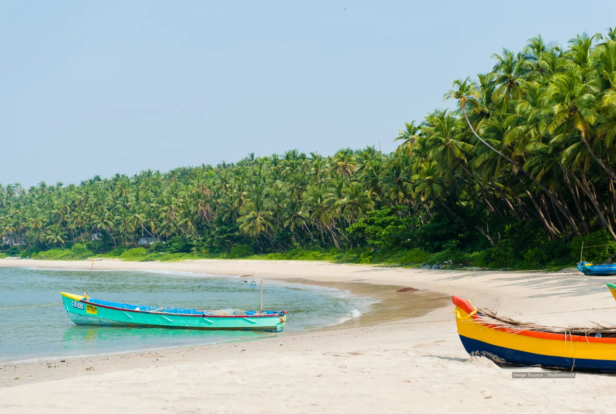 Serene tropical beach with colorful boats and lush palm trees for Thailand trip