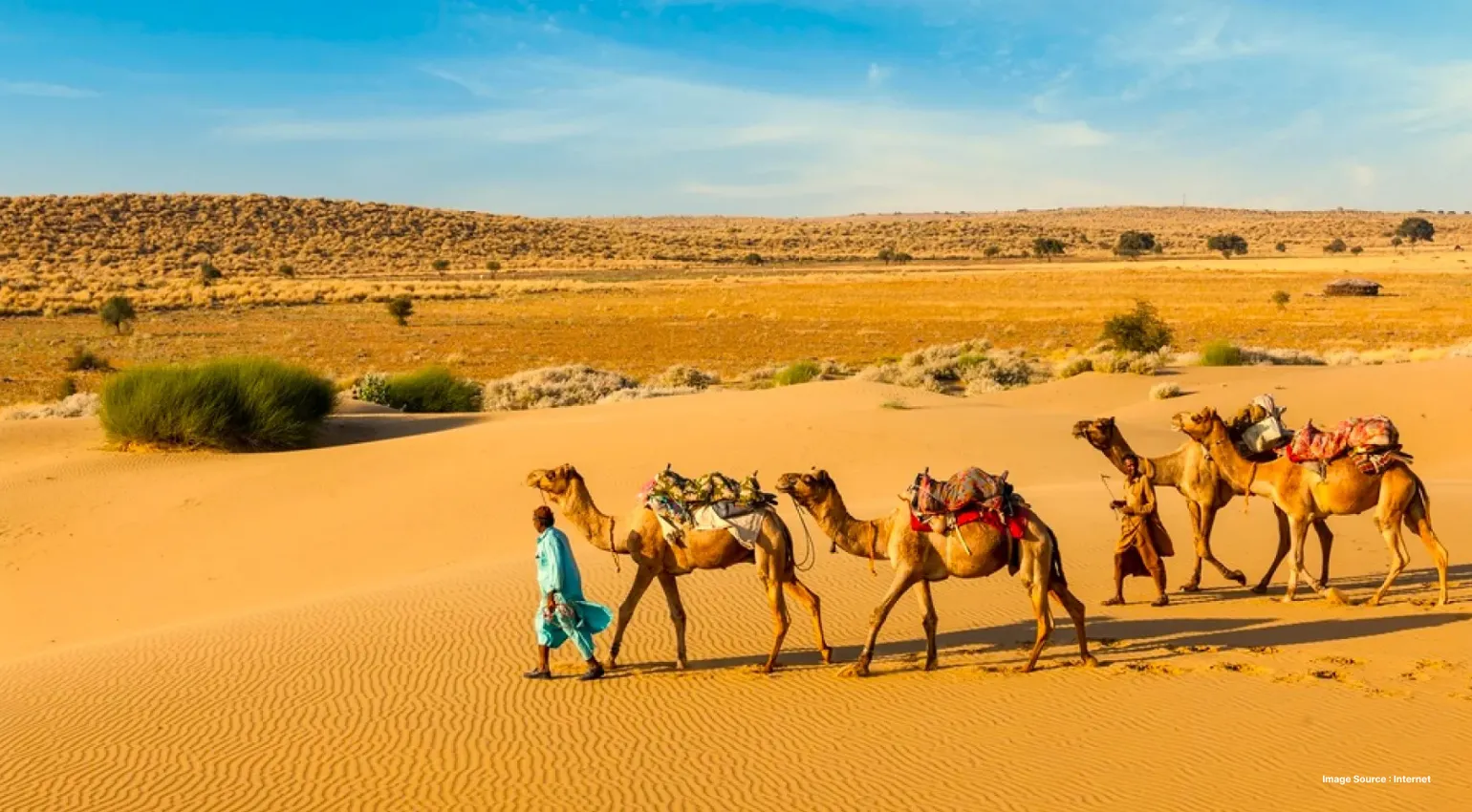 a line of 3 camels walking on the desert being led by a man