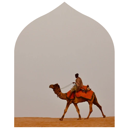 Desert Safari Tour