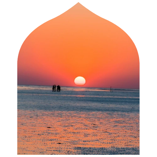 White Desert Festival Tour