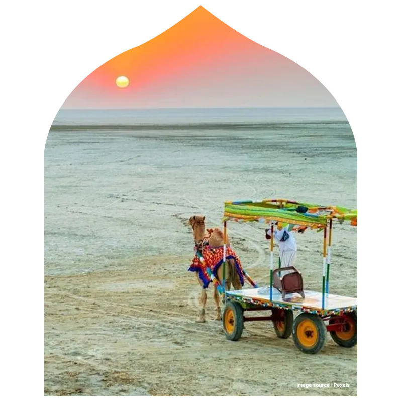 a camel cart with wheels goes ahead during sunset in the white desert